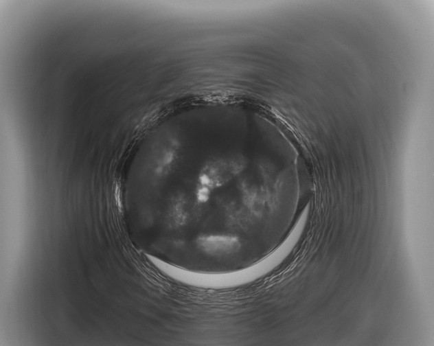 X0000116871106200912291314