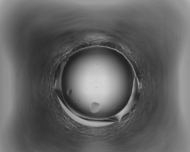 X0000116871109200912291314
