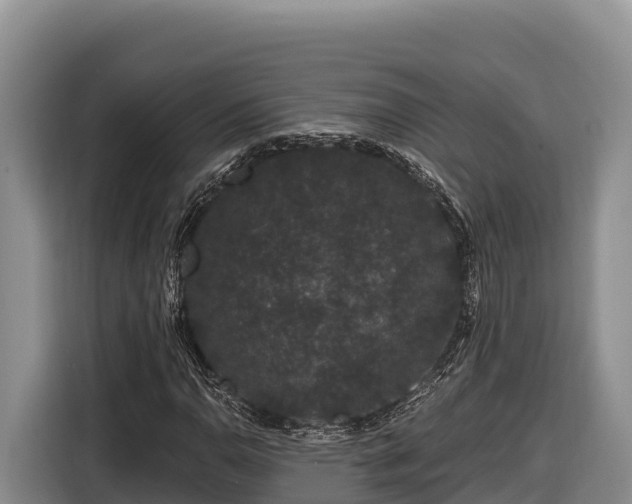 X0000116871110200912291314