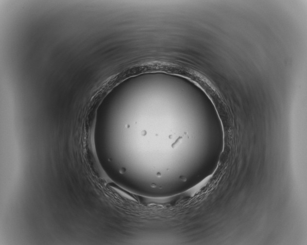 X0000116871111200912291314