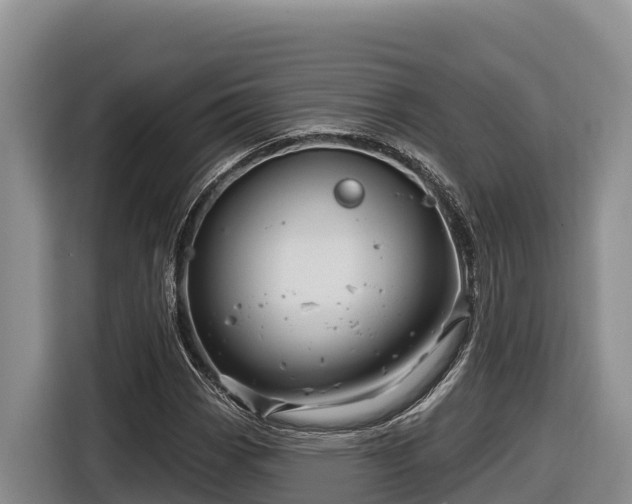 X0000116871113200912291314