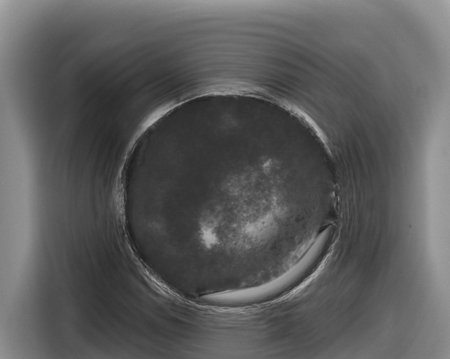 X0000116871114200912291314