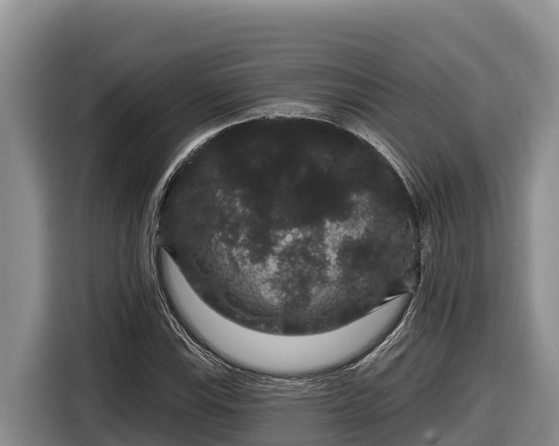 X0000116871115200912291314