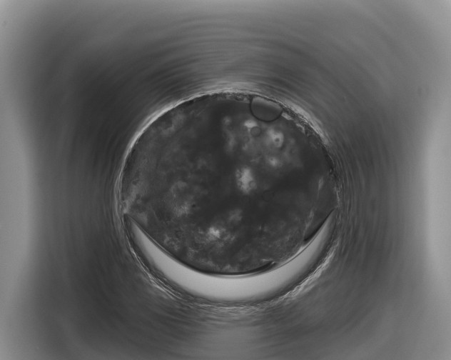 X0000116871117200912291314