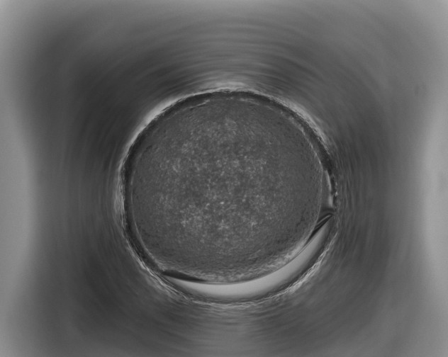 X0000116871118200912291314