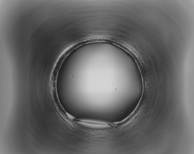 X0000116871119200912291314