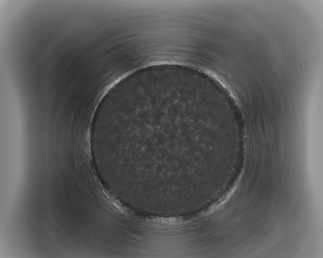 X0000116871121200912291314