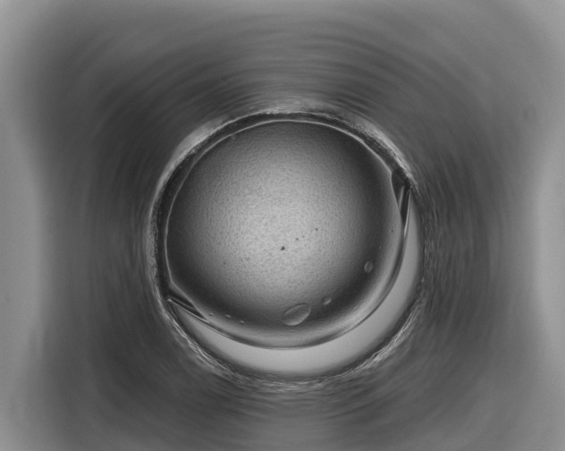 X0000116871122200912291314