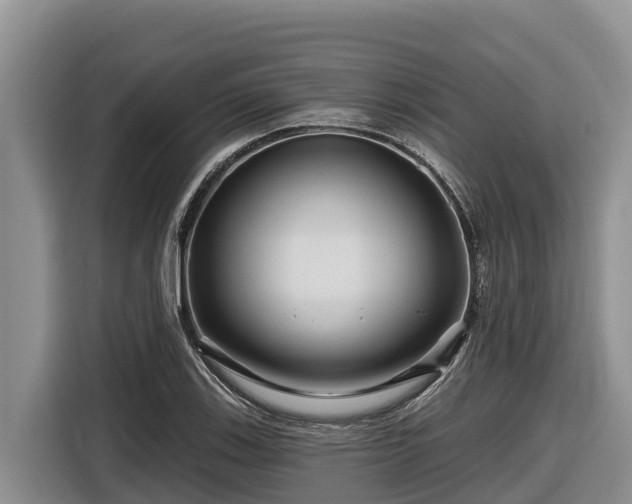 X0000116871123200912291314