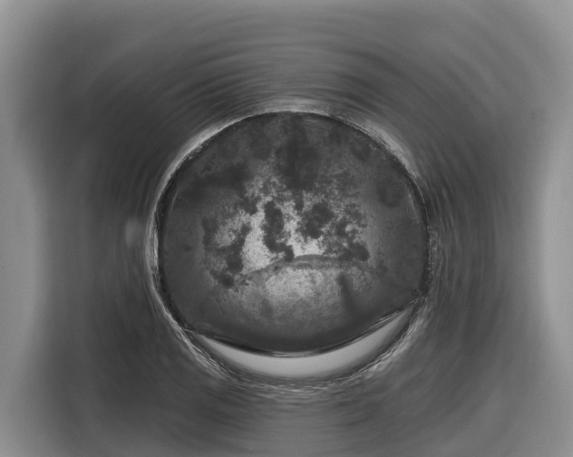 X0000116871125200912291314