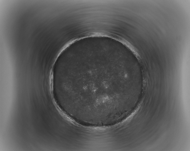 X0000116871126200912291314