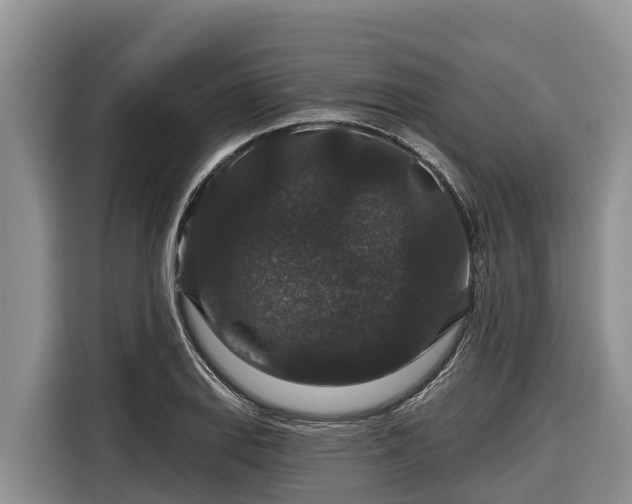 X0000116871127200912291314