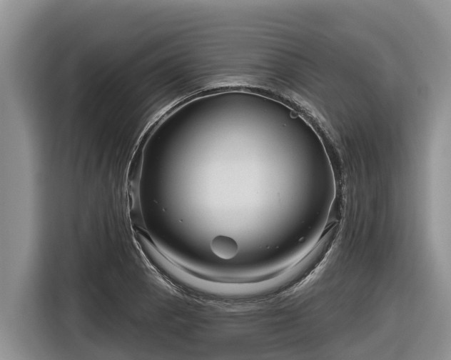 X0000116871129200912291314