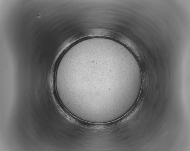 X0000116871130200912291314