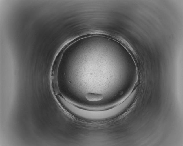 X0000116871133200912291314