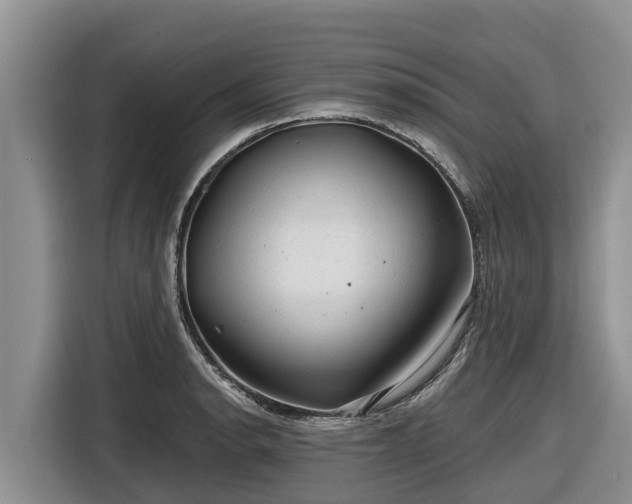 X0000116871134200912291314