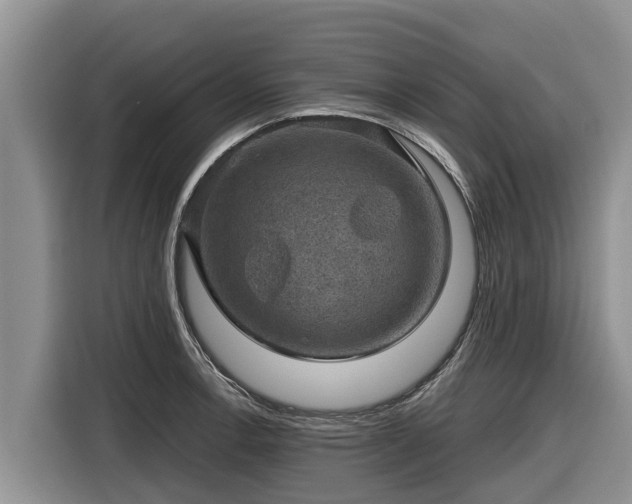 X0000116871138200912291314