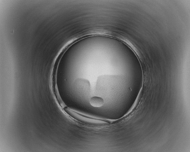 X0000116871139200912291314