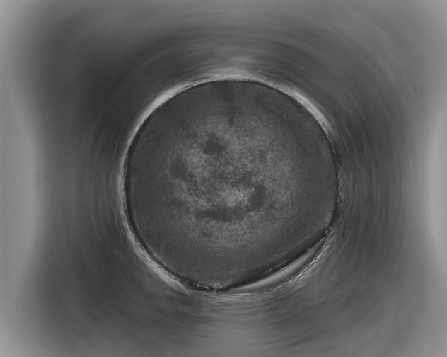 X0000116871142200912291314
