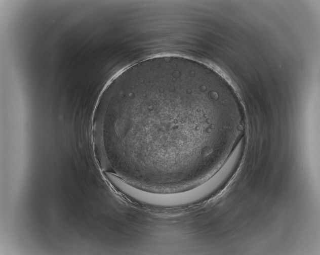 X0000116871145200912291314