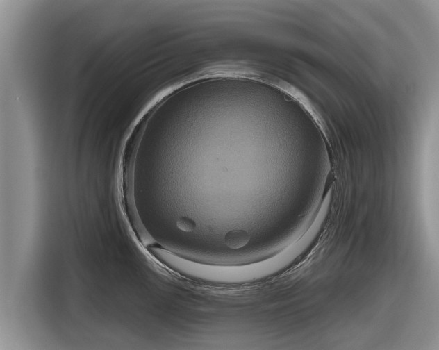 X0000116871147200912291314
