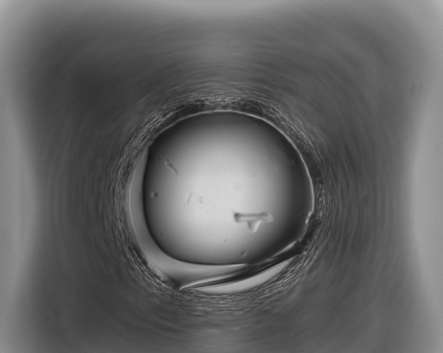 X0000116871153200912291314