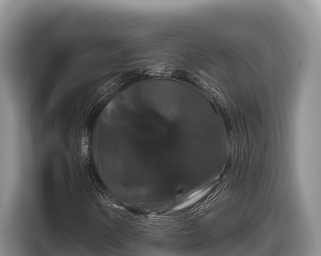 X0000116871154200912291314
