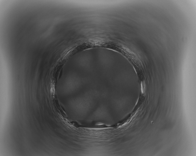 X0000116871155200912291314