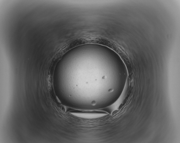 X0000116871156200912291314