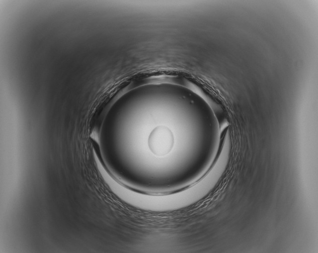 X0000116871157200912291314