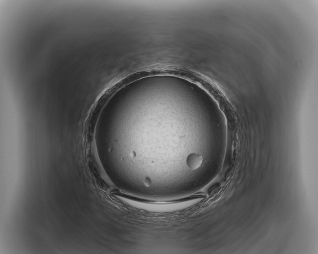 X0000116871160200912291314