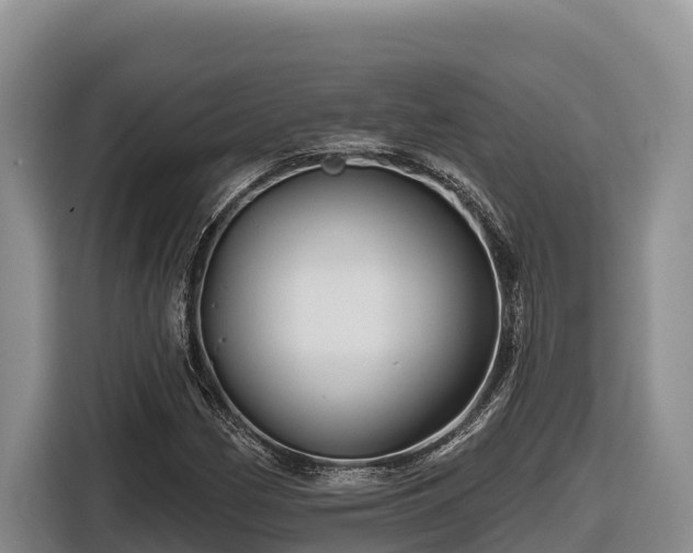 X0000116871162200912291314