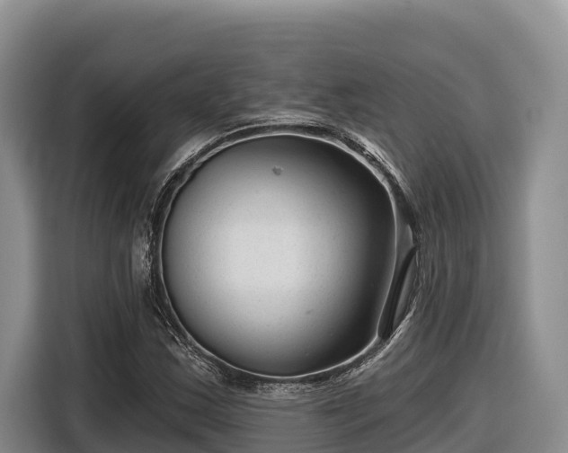 X0000116871163200912291314