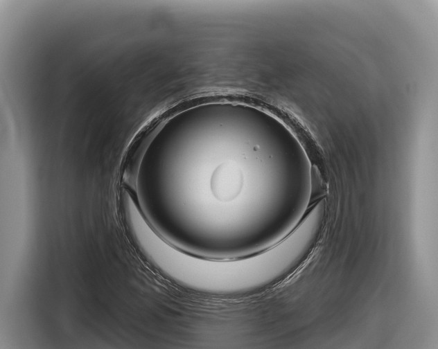 X0000116871165200912291314