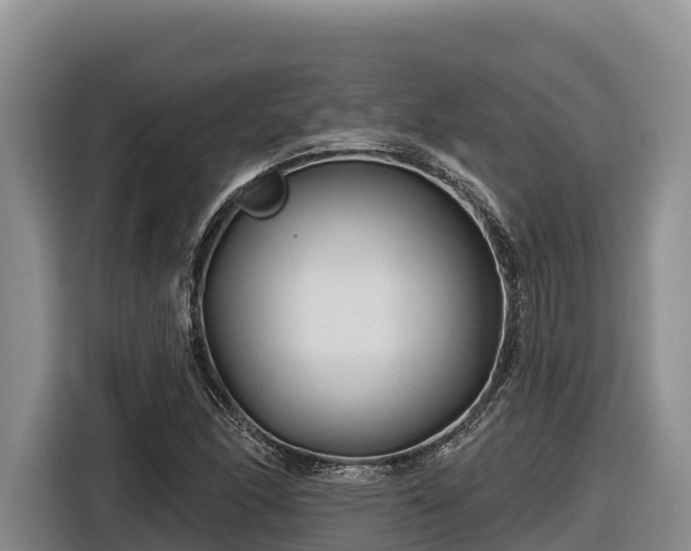 X0000116871166200912291314