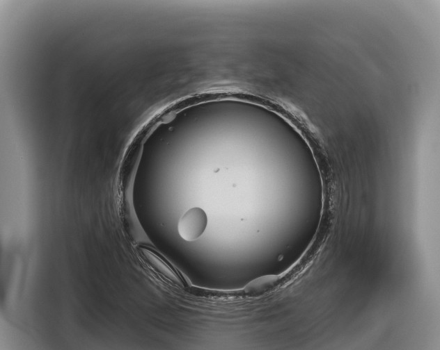 X0000116871167200912291314