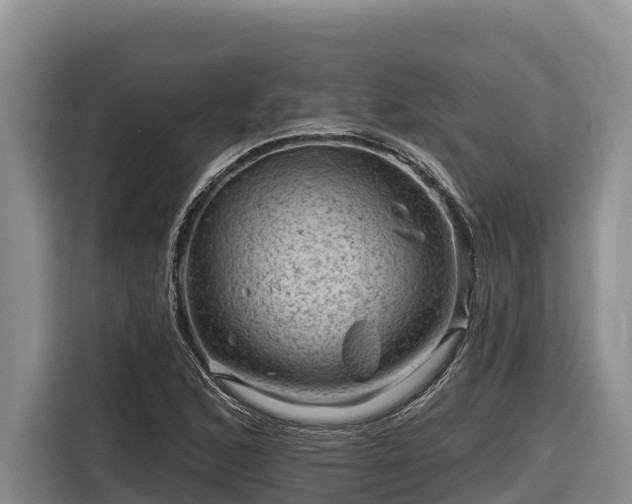 X0000116871168200912291314