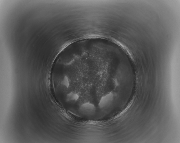 X0000116871170200912291314