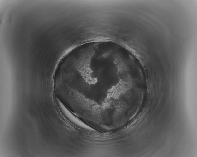 X0000116871171200912291314
