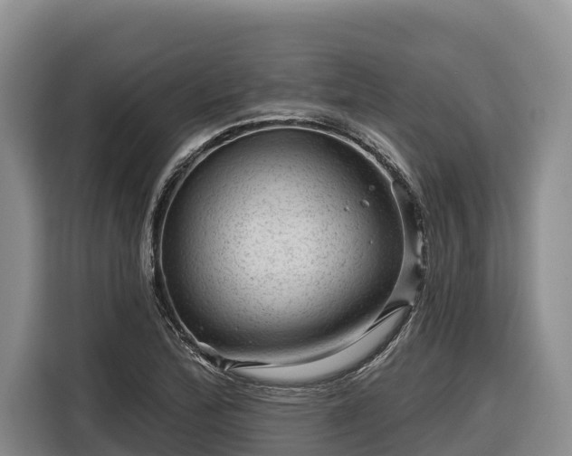 X0000116871172200912291314