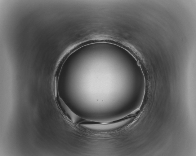 X0000116871175200912291314