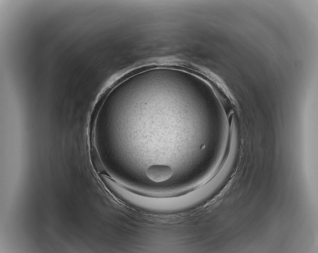 X0000116871176200912291314