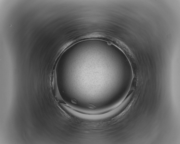 X0000116871177200912291314