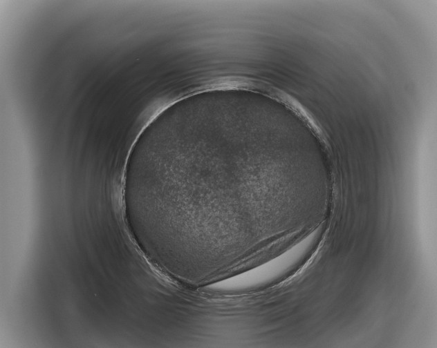 X0000116871178200912291313