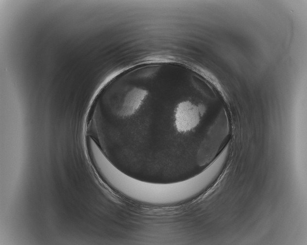 X0000116871179200912291313