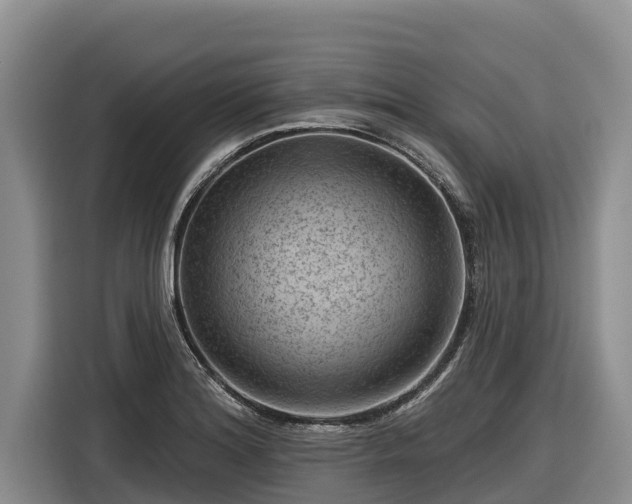 X0000116871180200912291313