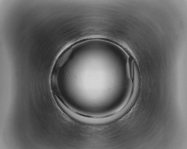 X0000116871181200912291313