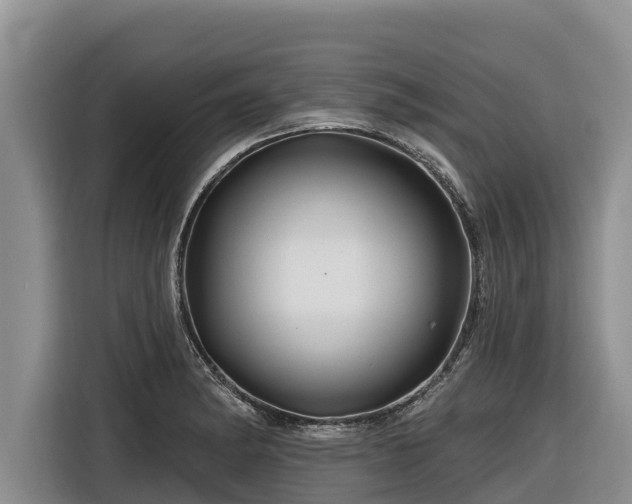 X0000116871182200912291313