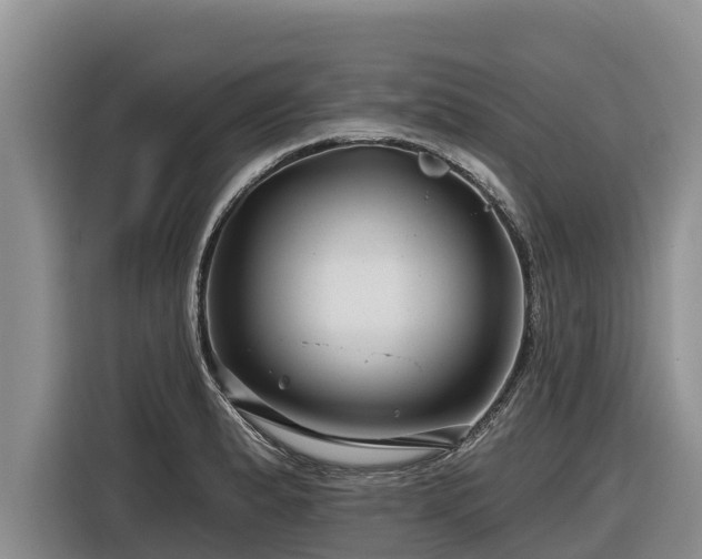 X0000116871183200912291313