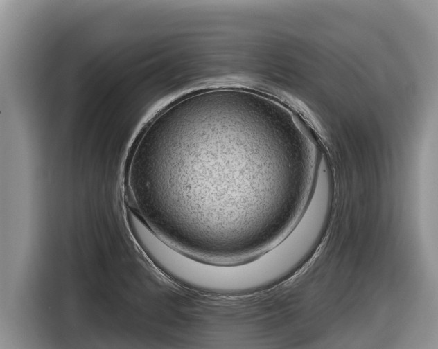 X0000116871184200912291313